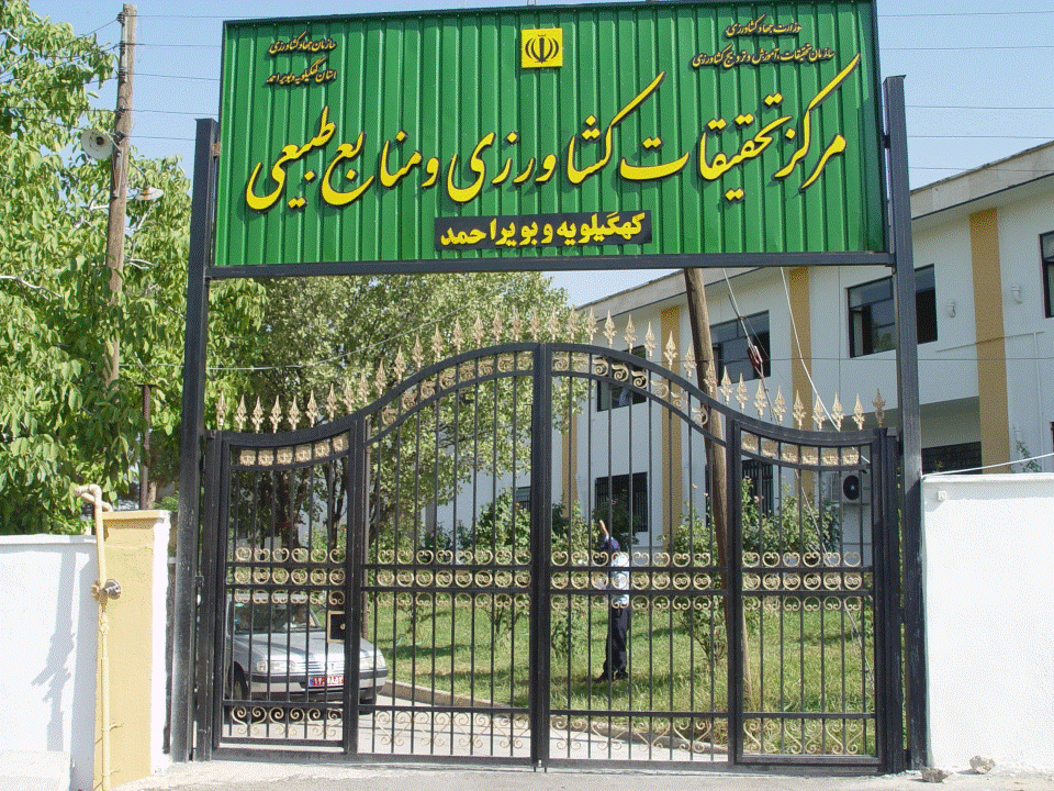 اسلایدر بالا