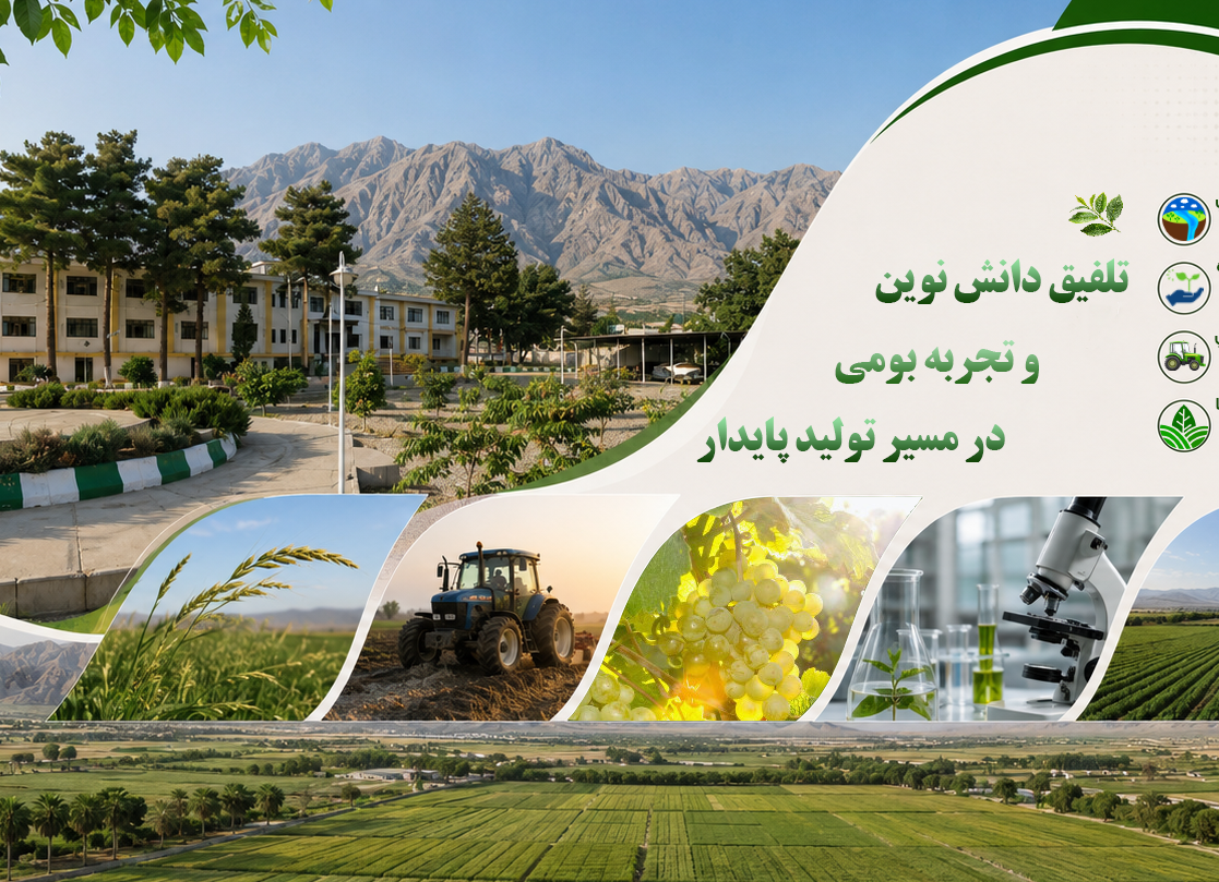 تصویر اسلایدر