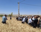 درخشش رقم جدید «رستا» در مزارع الگویی کهگیلویه و بویراحمد