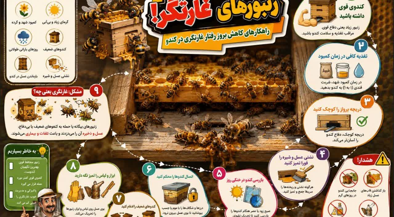 راهکارهای کاهش بروز رفتار غارتگری در کندو