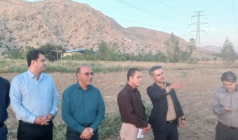بازدید رئیس مرکز تحقیقات فارس از سایت ملی دیم گچساران