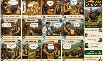 آموزشی کاربردی برای توسعه پرورش طیور بومی و تقویت اقتصاد خانوارهای روستایی