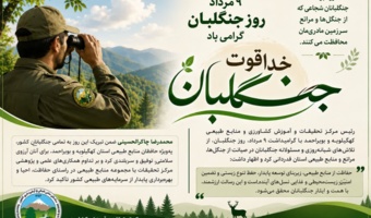 جنگلبانان؛ پاسداران خاموش طبیعت و حافظان سرمایههای ماندگار سرزمین