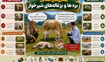 آگاهی بهموقع، نخستین گام برای حفظ سلامت دامهای جوان