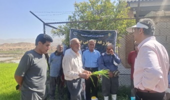 مرکز تحقیقات کشاورزی، محور انتقال دانش به شالیکاران گچساران