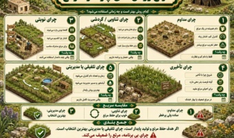انواع روش های چرا در مرتع