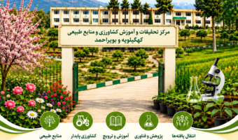 خبرنامه الکترونیکی شهریور ماه ۱۴۰۵