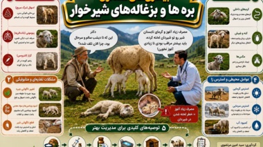 آگاهی به‌موقع، نخستین گام برای حفظ سلامت دام‌های جوان