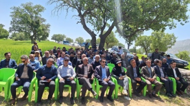 ویترین سبز 30 رقم غلات و علوفه در پایگاه نوآوری روستای درغک